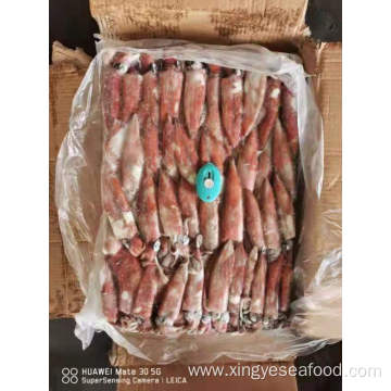 Frozen Squid Frozen Uroteuthis Chinensis Whole Round